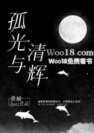 小说孤光在线阅读
